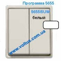 Выключатель 2-клавишный 5655 Белый